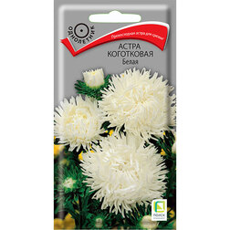 ������ ������ ����� ���������� �����   ����