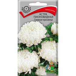 ������ ������ ����� ����������� ������� ���������   ����