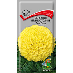 ������ ������ �������� ������������ ���� �����   ����