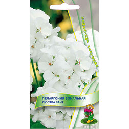 ������ ������ ���������� ��������� ������ ����   ����