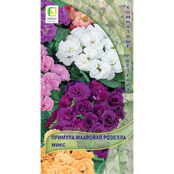 ������ ������ ������� �������� ������� ����   ����