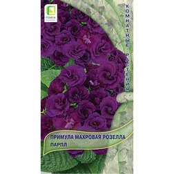 ������ ������ ������� �������� ������� �����   ����