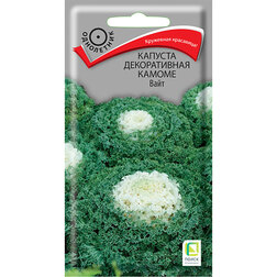 ������ ������ ������� ������������ ������ ����   ����