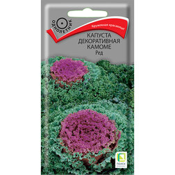 ������ ������ ������� ������������ ������ ���   ����