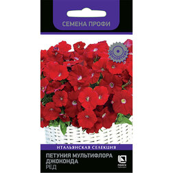 ������ ������ ������� ����������� �������� ��� (������ �����)   ����