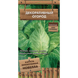 ������ ������ ������� ������������ ������� (������������ ������ )   ����