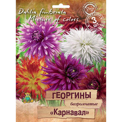 ������ ������ �������� ����������� �������� (3 ��.)   ����