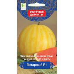 ������ ������ ����� �������� F1 (��������� ���������)   ����