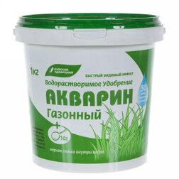 ������ ������ ������� �������� (1��) (���������������)   ����