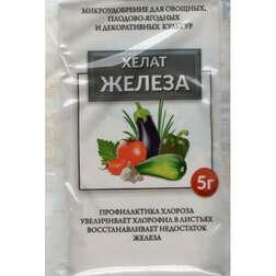 ������ ������ ����� ������ (5 ��.)   ����