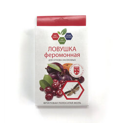 ������ ������ *������� � ��������� � ��������� ��������� �����. ����   ����