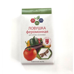 ������ ������ *������� � ��������� � ��������� �������� ����   ����