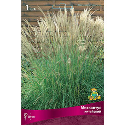 ������ ������ ������� ���������� ����������   ����