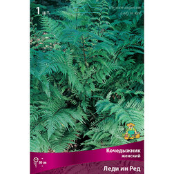 ������ ������ ���������� ���������� ���� �� ��� (�������)   ����