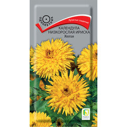 ������ ������ ��������� ����������� ������ ������   ����