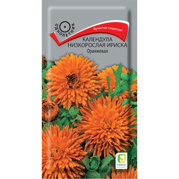 ������ ������ ��������� ����������� ������ ���������   ����