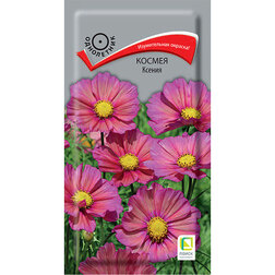 ������ ������ ������ ������   ����