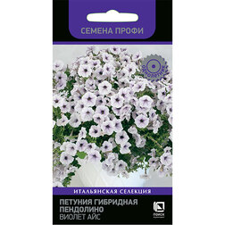 ������ ������ ������� ��������� ��������� ������ ��� (������ �����)   ����