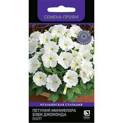 ������ ������ ������� ��������� ���� �������� ���� (������ �����)   ����