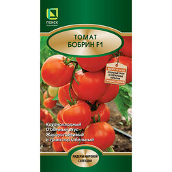 ������ ������ ����� ������ F1   ����