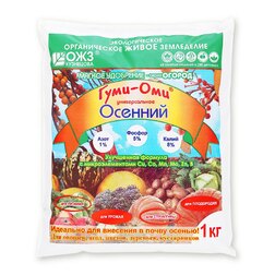 ������ ������ ����-��� (�������) (1��.)   ����