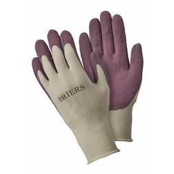 ������ ������ �������� ������� ������ ����������, �.S Briers   ����