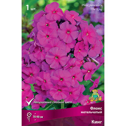 ������ ������ ����� ����������� ����   ����