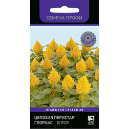 ������ ������ ������� �������� ������� ����� (������ �����)   ����