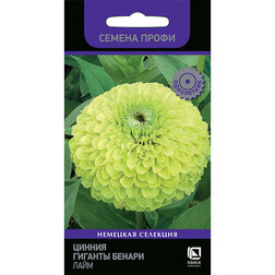 ������ ������ ������ ������� ������ ���� (������ �����)   ����