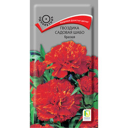 ������ ������ �������� ������� ���� �������   ����