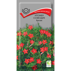 ������ ������ ������ ��������� �������   ����