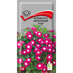 ������ ������ ���������� ��������� ������   ����