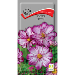 ������ ������ ������ �������   ����