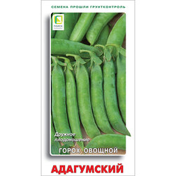 ������ ������ ����� ������� ����������   ����