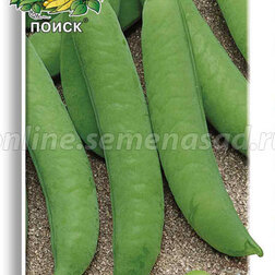 ������ ������ ����� ������� ��������   ����