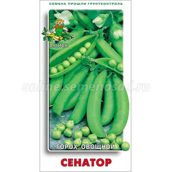 ������ ������ ����� ������� �������   ����