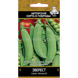 ������ ������ ����� ������� �������   ����