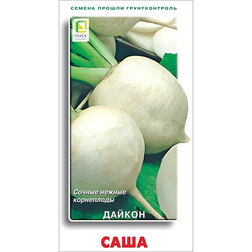 ������ ������ ������ ����   ����