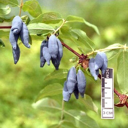 ������ ������ ��������� ��������� ���������   ����