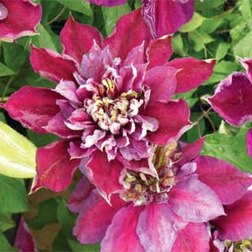 ������ ������ �������� ��������������� ���������   ����