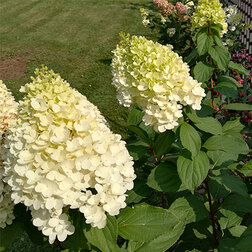 ������ ������ ��������� ����������� ��������   ����