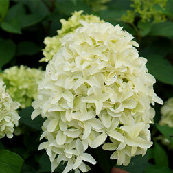 ������ ������ ��������� ����������� ��������   ����