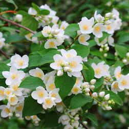 ������ ������ ������ �������� (��������)   ����