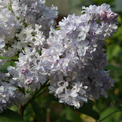 ������ ������ ������ ������������ ����������   ����