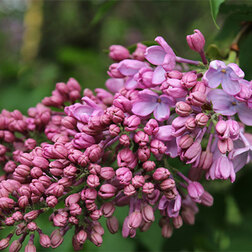 ������ ������ ������ ������������ ��������������� �������   ����