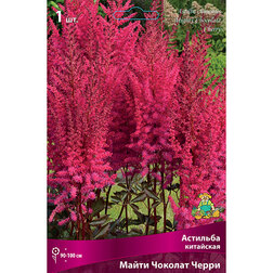 ������ ������ �������� ��������� ����� ������� �����   ����