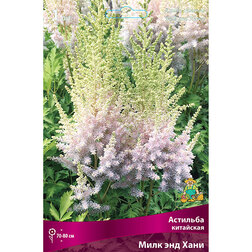 ������ ������ �������� ��������� ���� ��� ����   ����