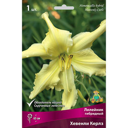 ������ ������ �������� ��������� ������� �����   ����