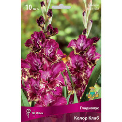 ������ ������ ��������� ��������������� ����� ���� (10 ��.)   ����