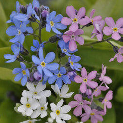 ������ ������ ��������� ��� ��� ���� (1��-100��) ���������������� ������   ����